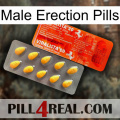 Male Erection Pills new01